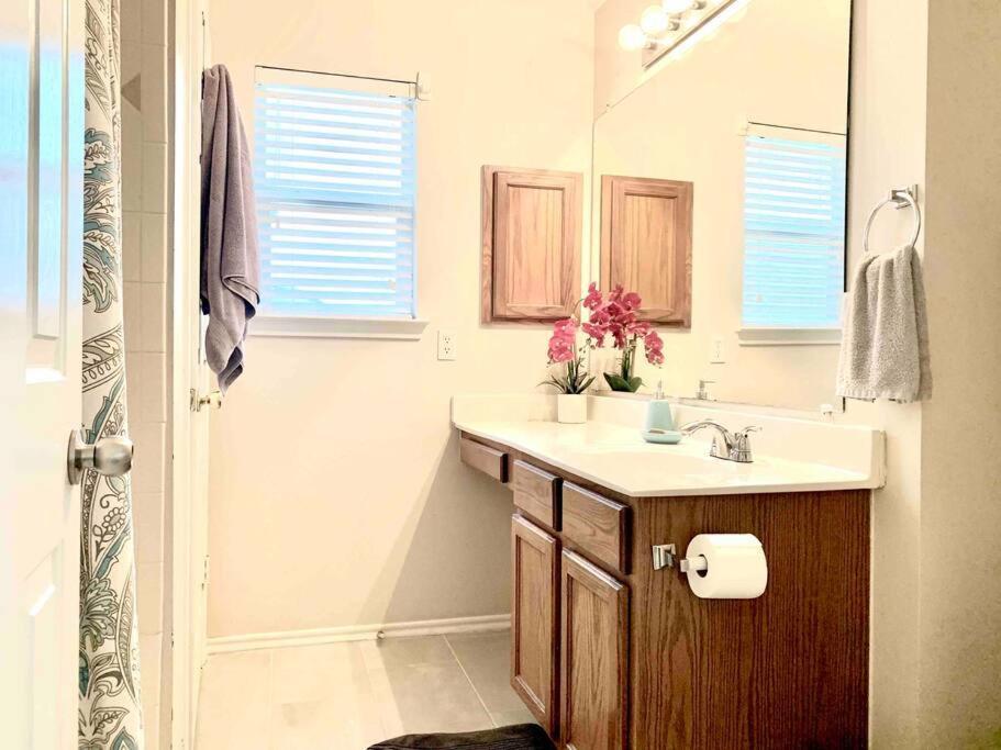 Modern Updates - Great Location - King Bed- Bmt San Antonio Exteriör bild